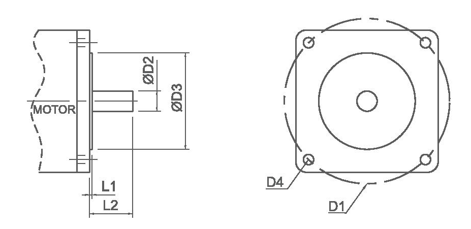 Motor mounting diagram showing D1 (bolt circle), D2 (shaft), D3 (pilot), D4 (holes), L1 (pilot thickness), L2 (shaft length)